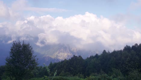 Nubes-En-El-Bosque-De-Pinos.